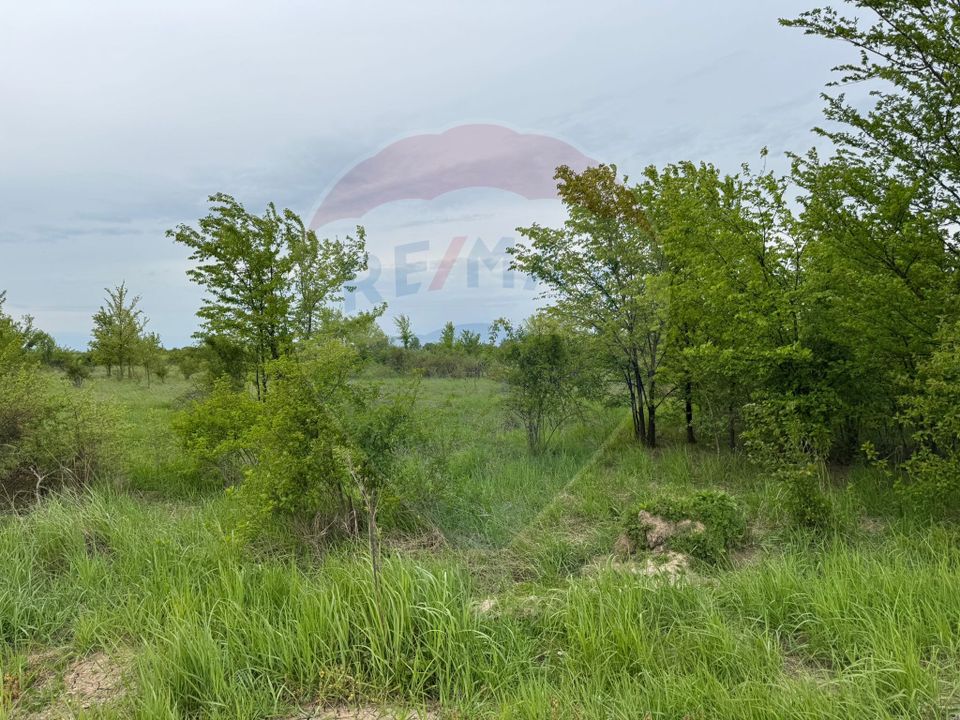 Land 960sqm Ciolpani / None
