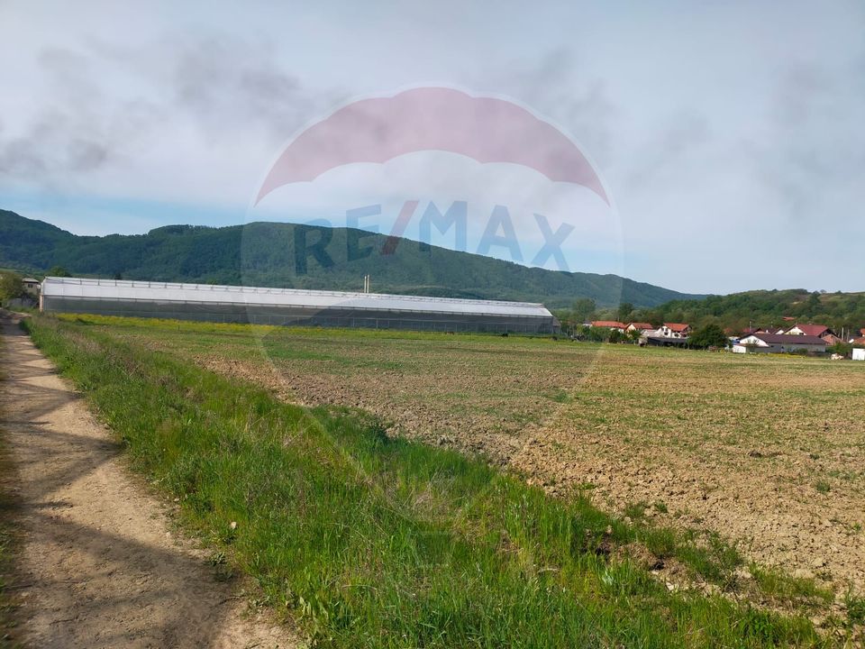 Land 7,600sqm Cernesti / Strada Principala