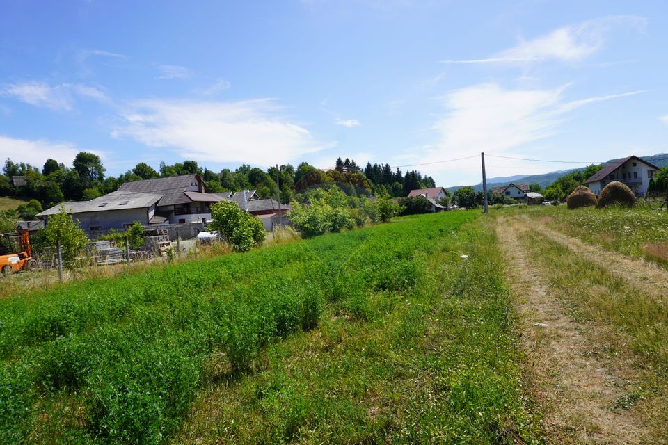 Teren 1,687mp Sighetu Marmatiei / Strada Doboies