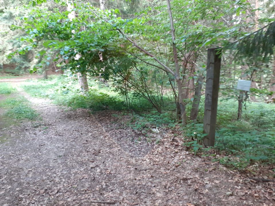 Land 2,000sqm Rasnov / Strada Glajerie