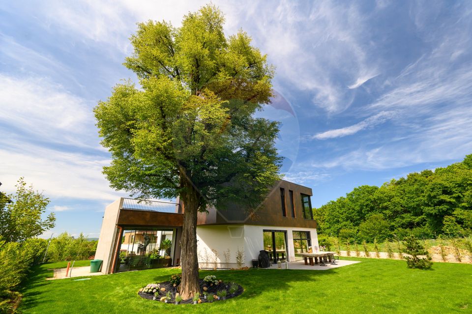 7 room House / Villa for sale, Faget area