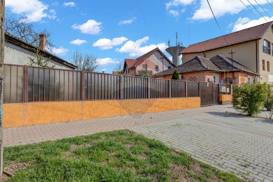 8 room House / Villa for sale, Ultracentral area