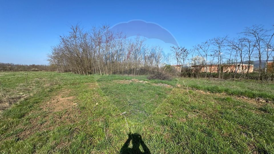 Land 1,800sqm Merisor / Strada Strada 135