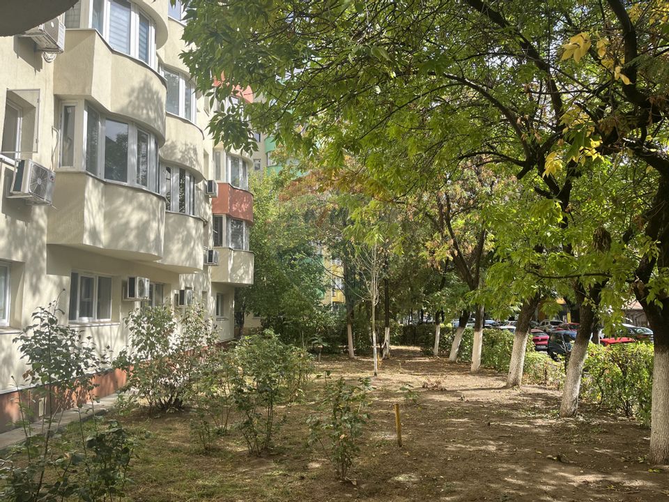 1 room Apartment for rent, Teiul Doamnei area