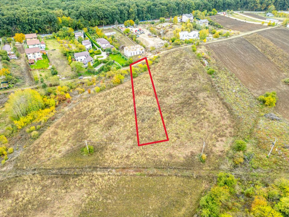 Teren 3000 mp în Snagov – zonă in dezvoltare, aproape de pădure