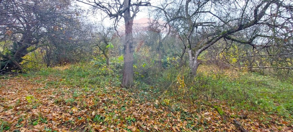 Comision 0! Casă  cu teren de 1000mp in inima Brasovului