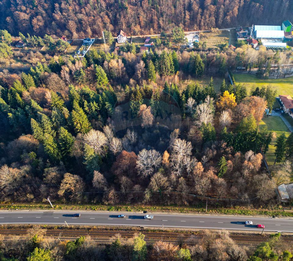 Land 10,000sqm Timisu de Jos / Strada Timișul de Jos