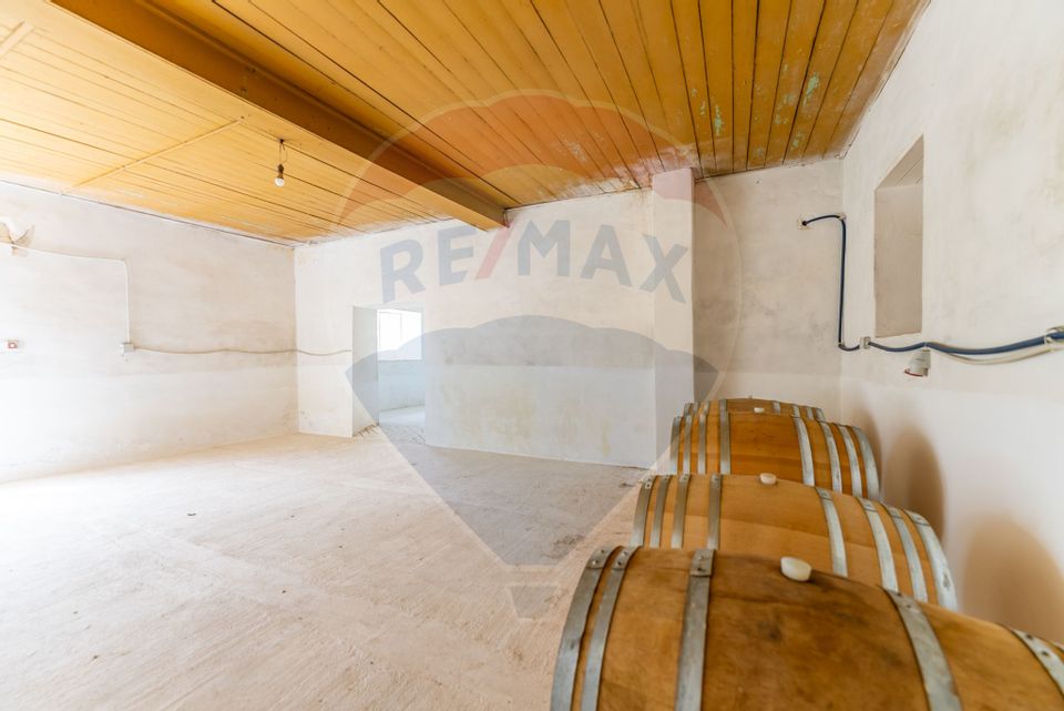 Conac aristocratic secolul XIX , domeniu  2,5 hectare — Păuliș, Arad