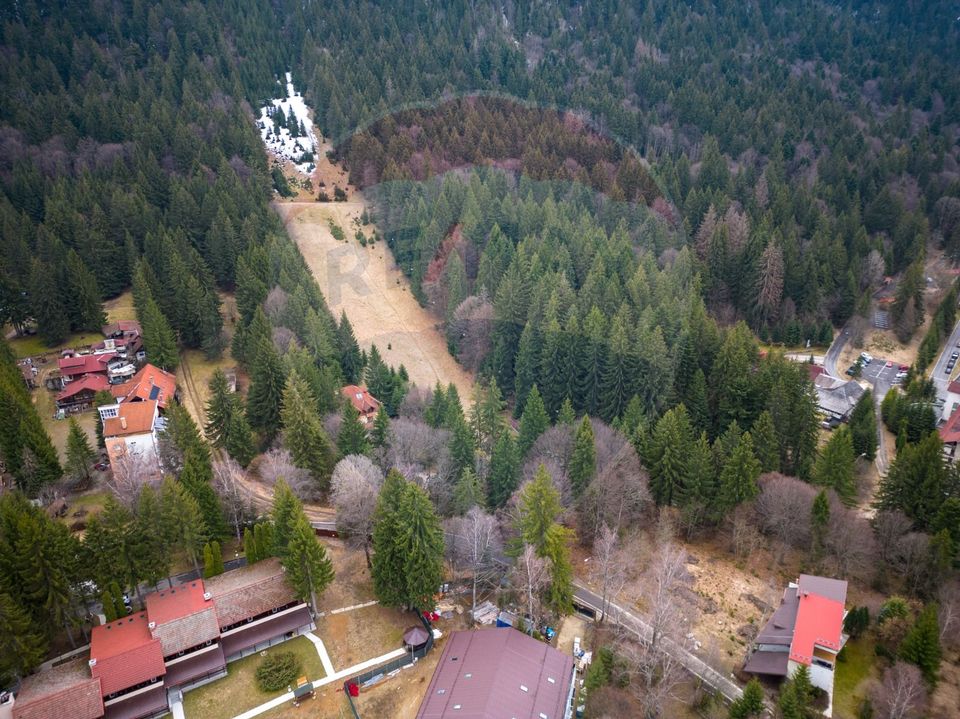 2000 sqm Intravilan Land for Sale in Poiana Brașov! 0% Commission!