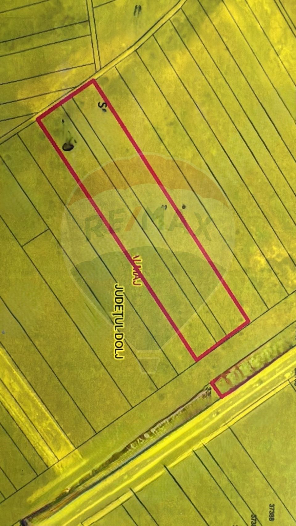 Land 4,787sqm Almaj / Strada Serelor