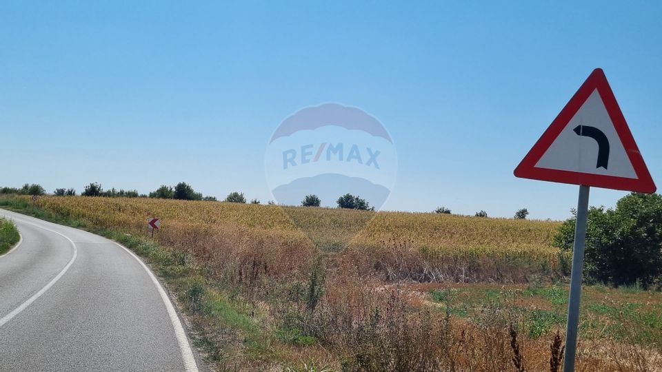 Teren 16.083 mp de vânzare – Sinești, sat Lilieci, Slobozia