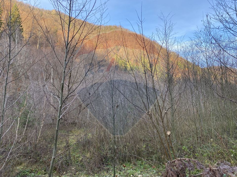 Land 1,000sqm Valea Ierii / Drumul Principala