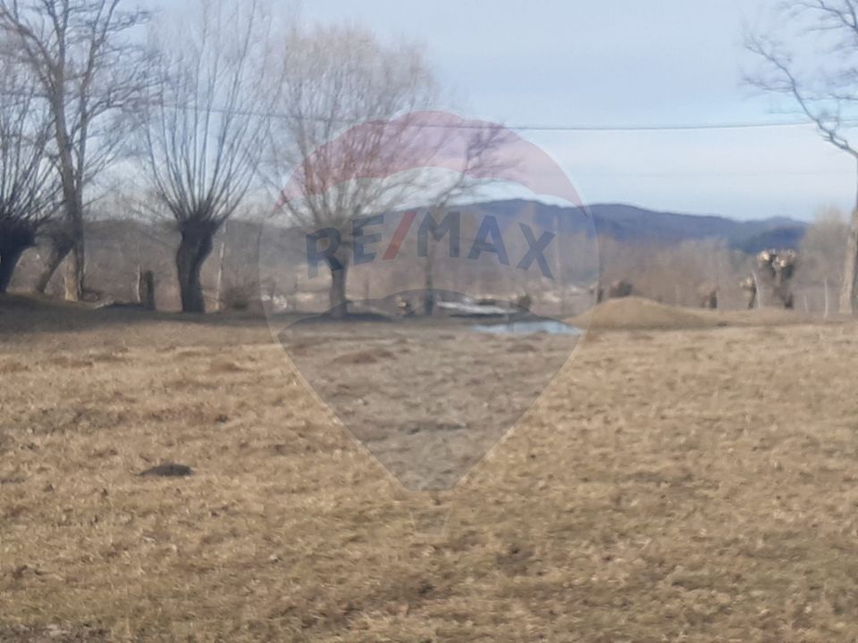 Land 10,279sqm Predelut / Strada Pe Tarina