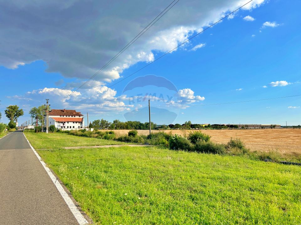 De vânzare pensiunea „Casa Albă”, orașul Pecica, jud. Arad