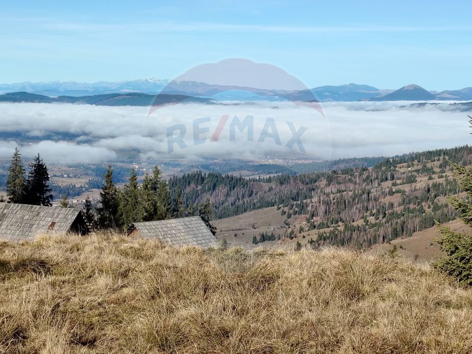 Teren 31,461mp Panaci / Prelungirea Ialovita