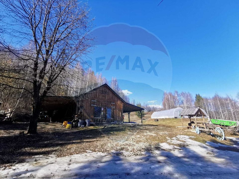6,2 ha + business turistic activ | Munții Apuseni