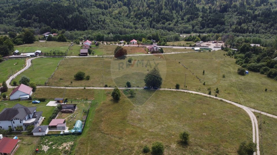 Land 2,103sqm Lepsa / Strada Zimbrului