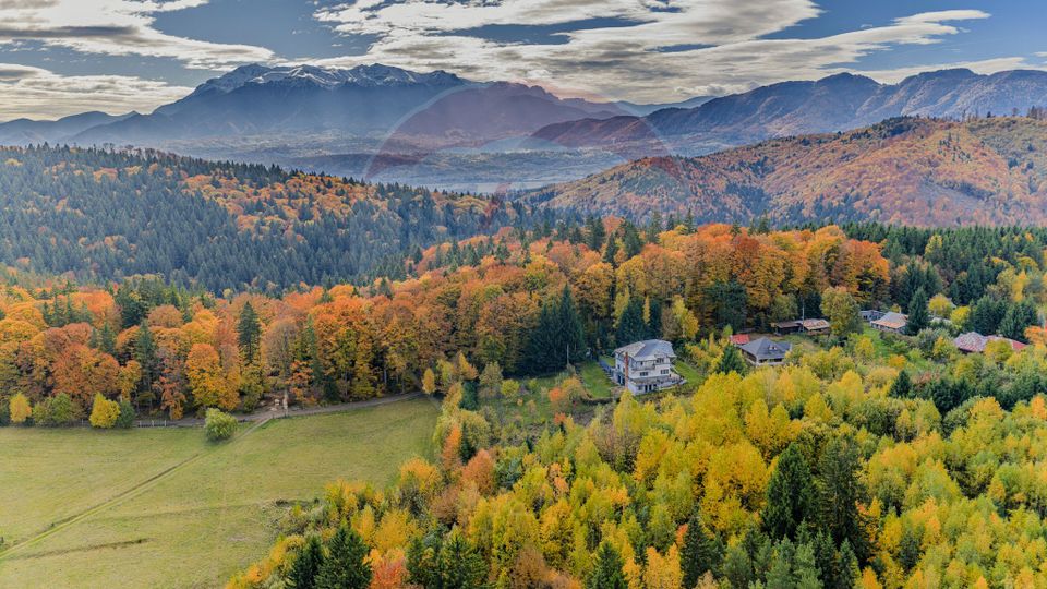 7 room House / Villa for sale