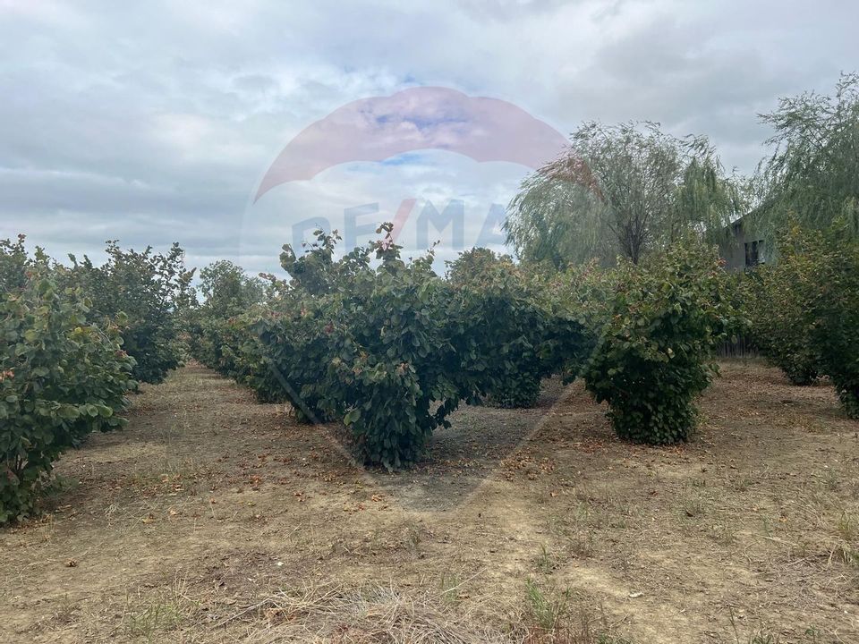 Land 1,300sqm Campineanca / Strada Hotarului