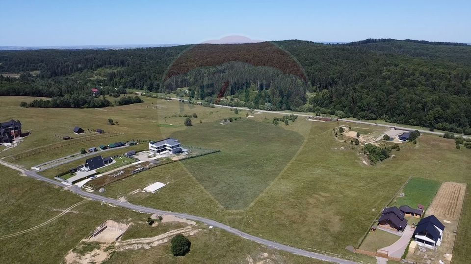 Land 3,757sqm Paltinoasa / Strada principala