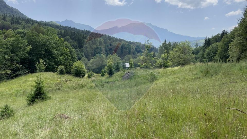 Teren 8500 mp, Valea Dălghiului - Dălghiu - vedere către Ciucaș