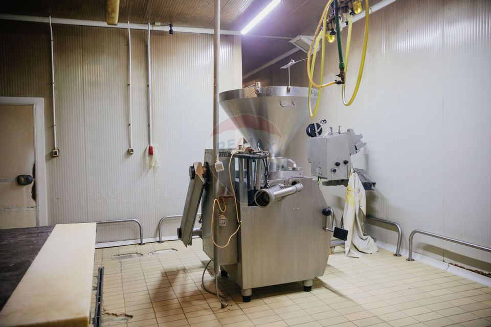 De vânzare AFACERE la cheie--CARMANGERIE--ABATOR--PREPARARE MEZELURI