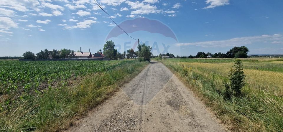 De vânzare teren 10.001 mp sat Oniscani, comuna Filipești