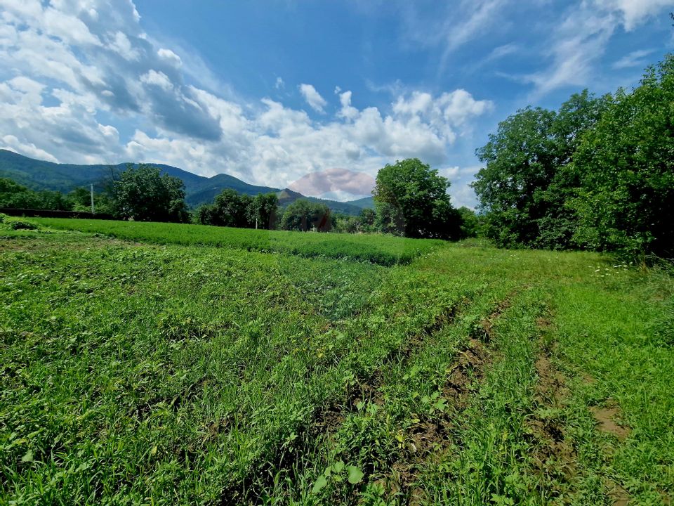 Teren intravilan 1000 mp – Viișoara, utilități