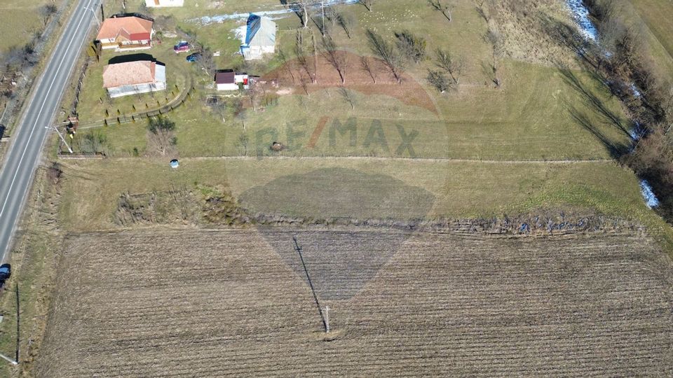 4000 mp teren intravilan de vânzare,în Berința