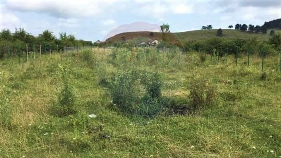 Teren Sanpetru - Strada Nucului, 1296mp, avize in vederea AC