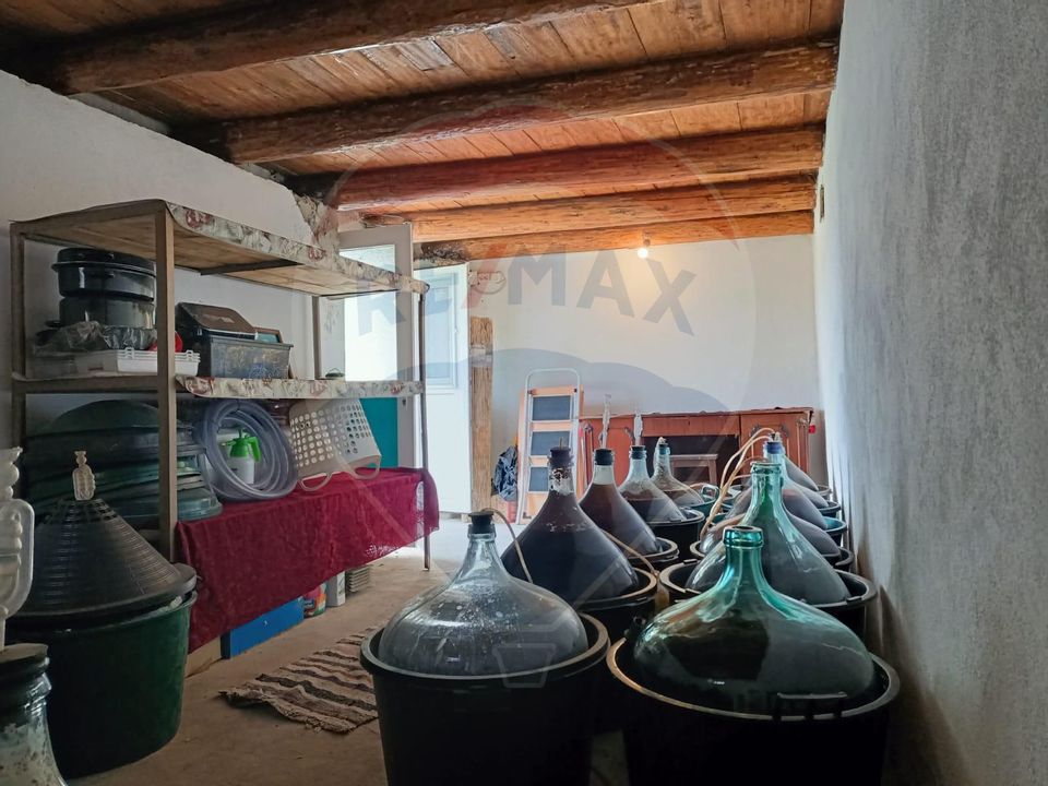 Vânzare casa la munte - zona turistica - Baia de Fier