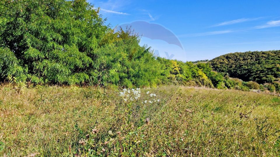 Teren de vânzare în Moldovenești – la 30 de minute de Cluj-Napoca