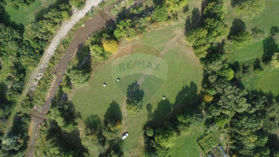 Teren 10.000 mp Calatele – Apuseni, langa rau, ideal investie turism