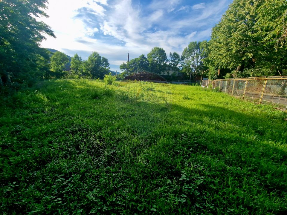 Teren 1,749mp Piatra-Neamt / Strada Zambilelor