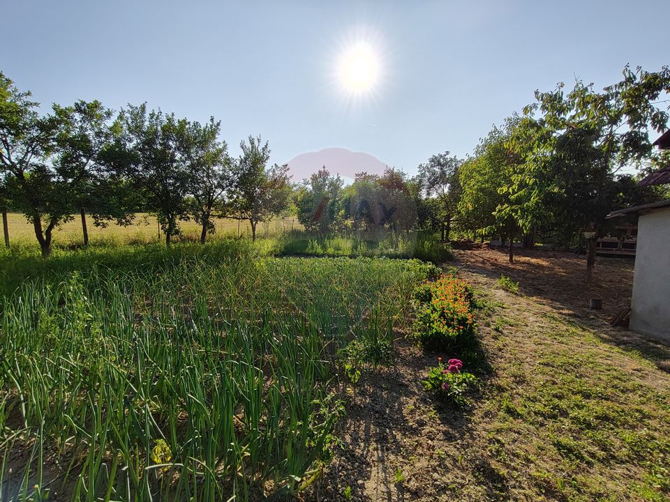 DE VÂNZARE – Gospodărie tradițională, Sat Remeți Pe Someș