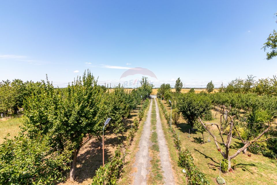 Casa+Laborator+ Teren 12.700 mp + casa de vacanta - Bolintin Vale