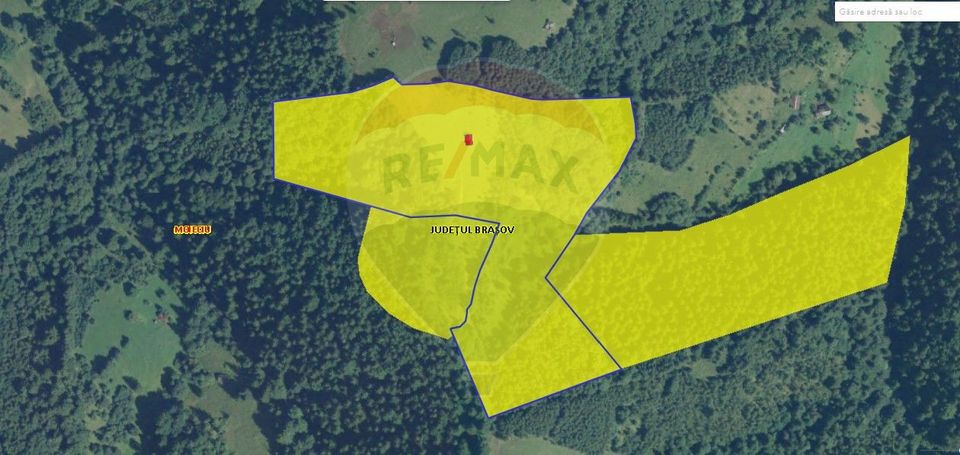 Teren extravilan Moieciu 45316mp