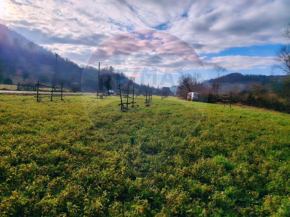 COMISION 0%  Teren intravilan de vanzare in Barsana (26 ARI)