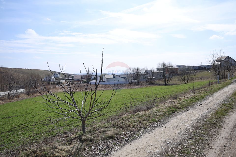 Teren 3,500mp Moara / Strada Pprincipala