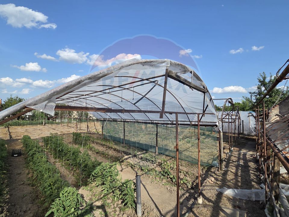 Casă cu gradina si solarii de legume