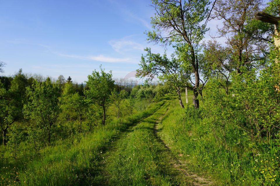 Land 38,592sqm Sighetu Marmatiei / Strada Mocăniței