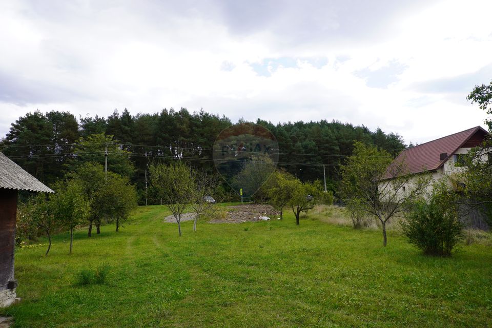 Teren 7968 mp Sighetu Marmatiei / Strada Lazu Baciului