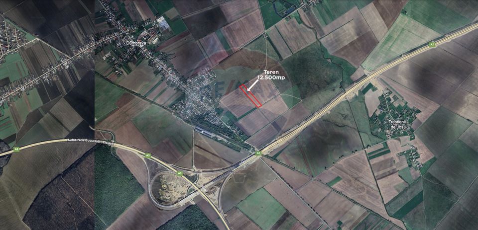 Land 12,500sqm Dumbrava / Strada zanoaga