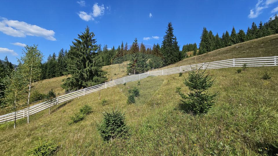 Casă / Vilă de vacanta in Dorna Arini, Suceava