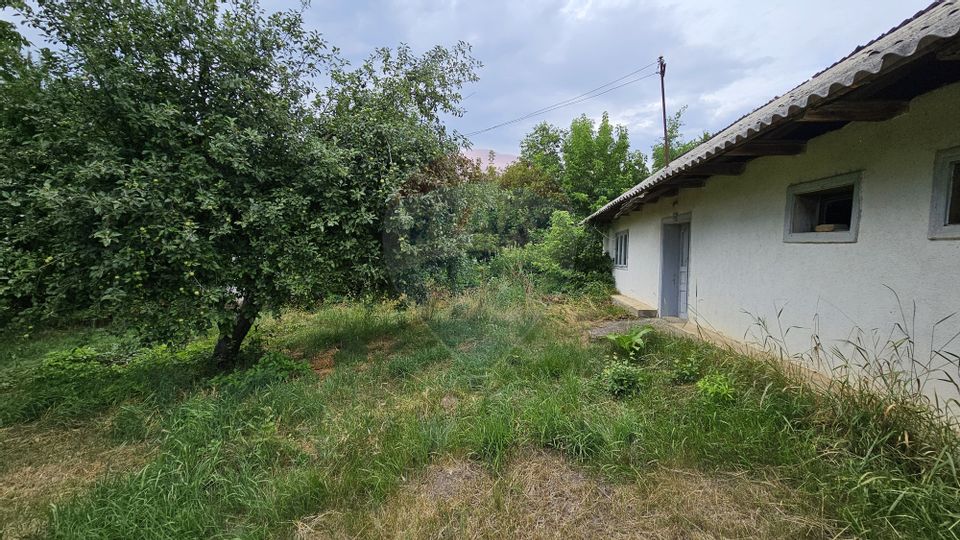 Casa  de vânzare cu teren 9200 mp, Pădureni-Șendriceni, Botoșani