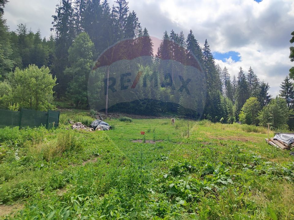 Teren in Bucovina, intravilan 3824 mp Deia-Frumosu, Suceava