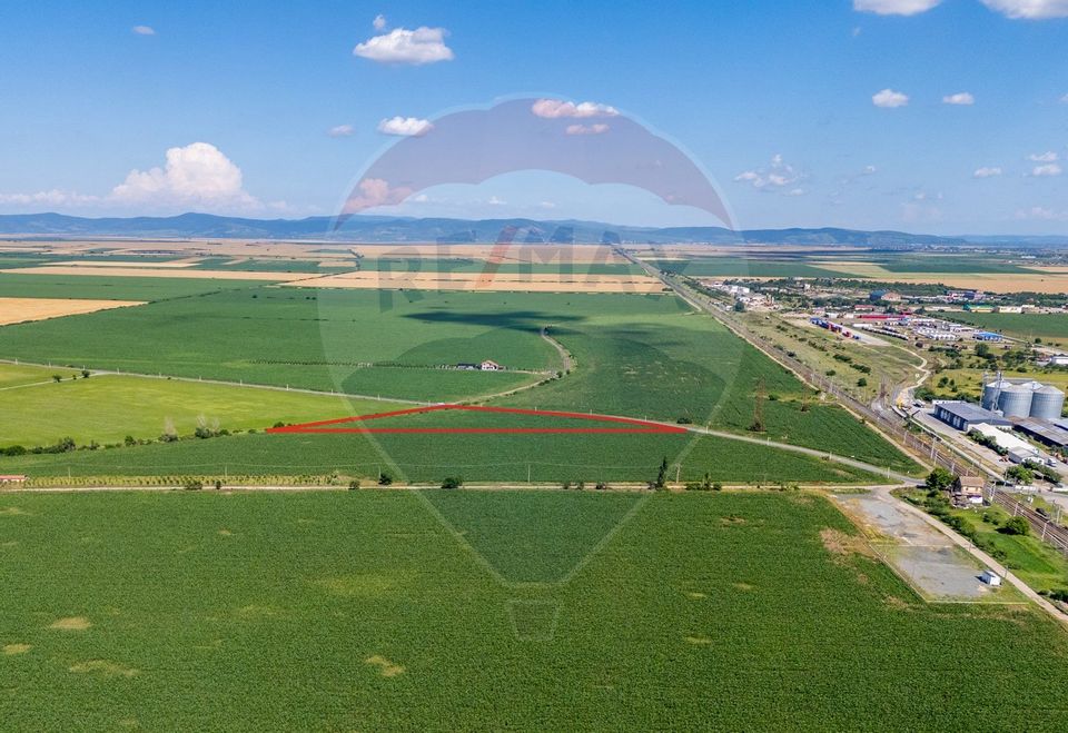 Land 13,233sqm Vladimirescu / Drumul Judetean vladimirescu- horia