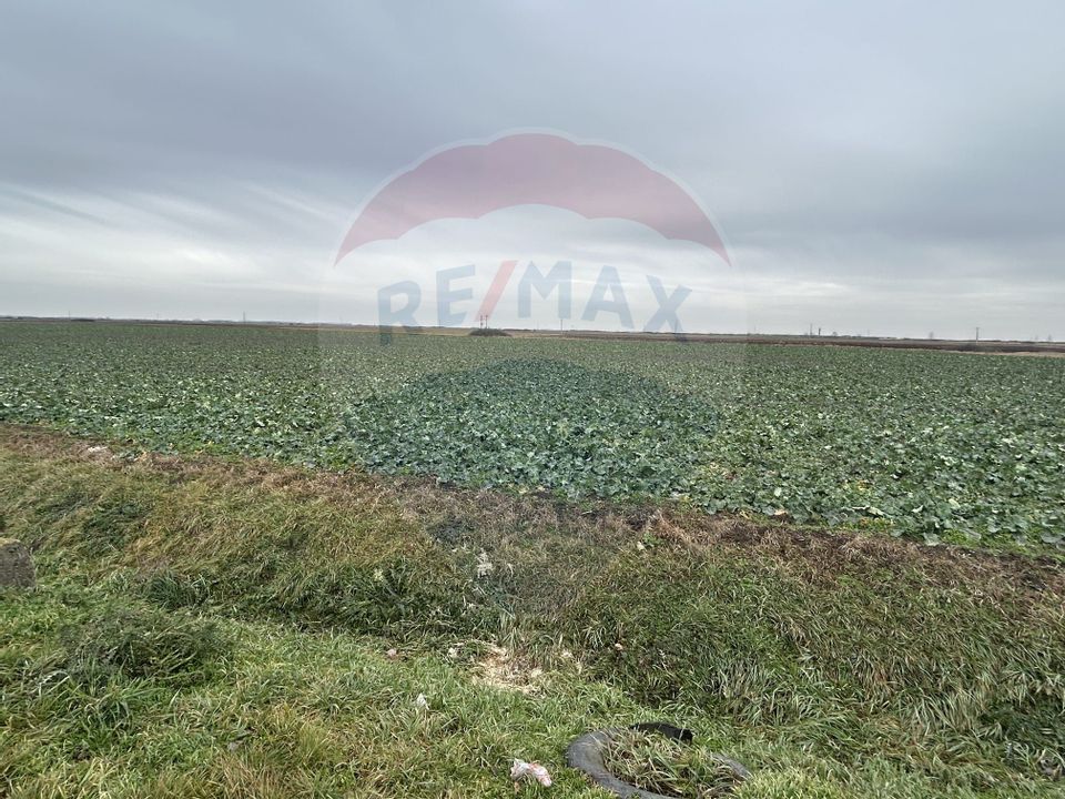 Teren intravilan 80500mp. aproape de nodul rutier de pe DX Oradea-Arad