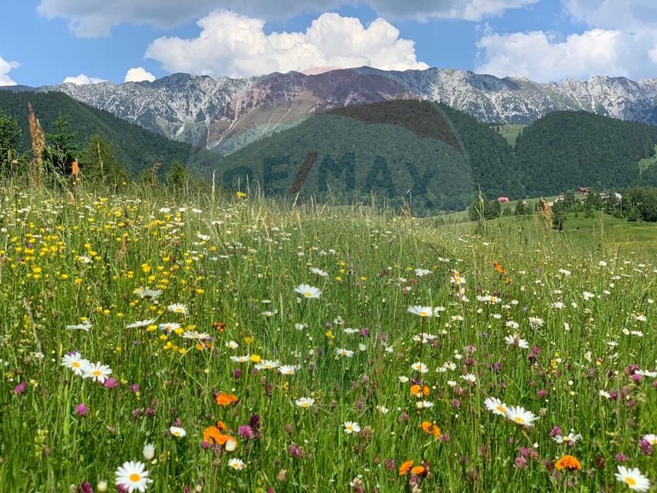 Teren Rasnov, Strada Glajerie, 1000mp