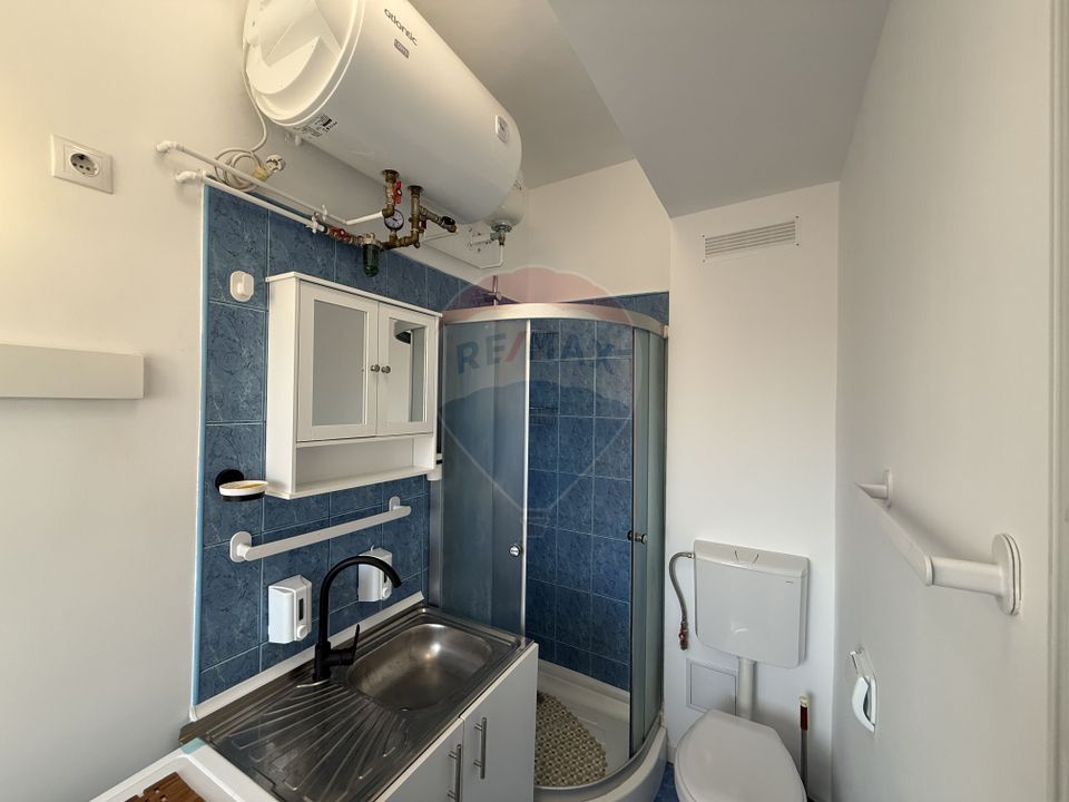 1 room Apartment for rent, P-ta Rosetti area